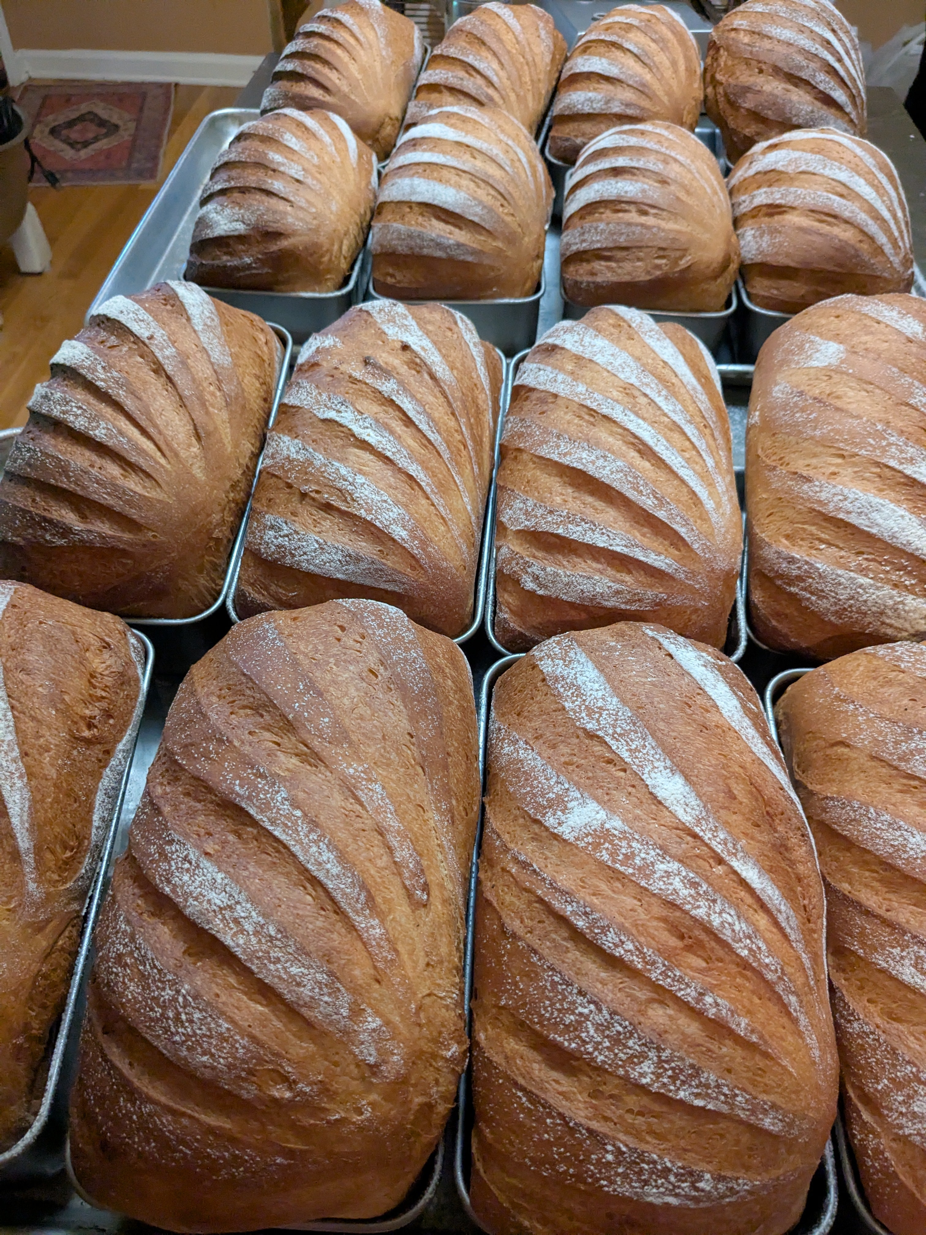 Sourdough Bone Broth Sandwich Loaf